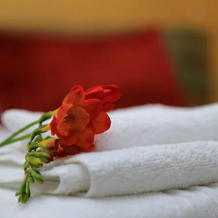 Couette-café Palazzo Greco